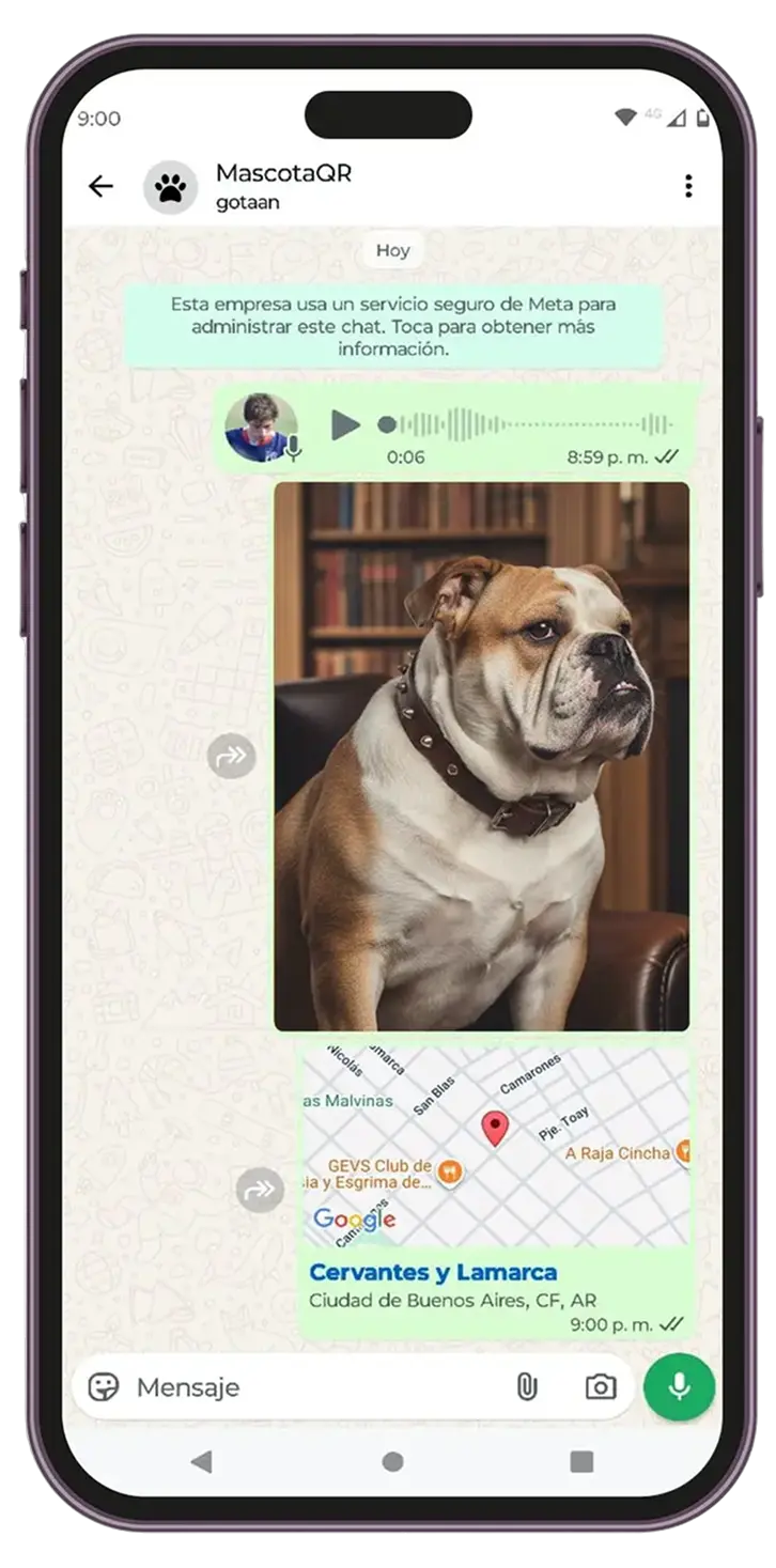 Edición de perfil por WhatsApp